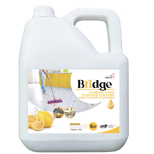 BRIDGE Hygienic Hard Surface Cleaner and Floor Cleaner (i-2)